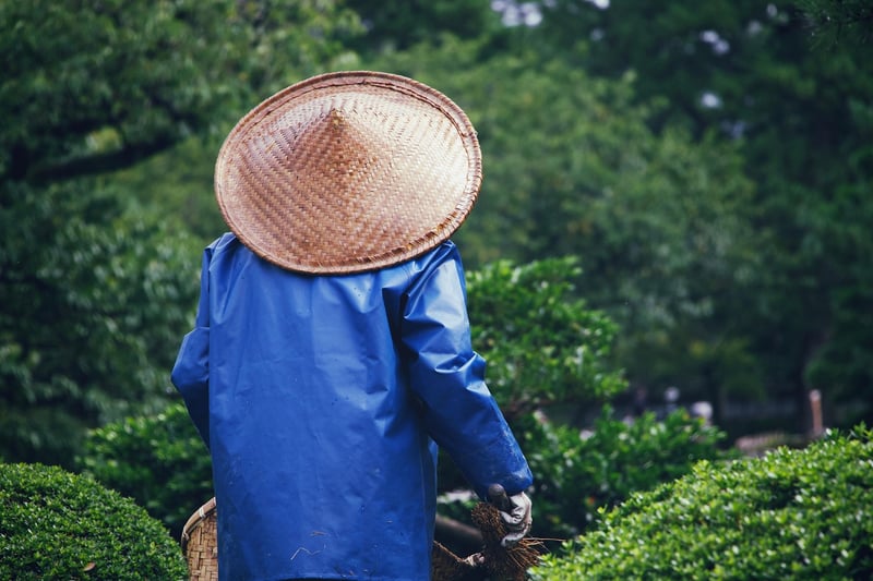 Gardening Events